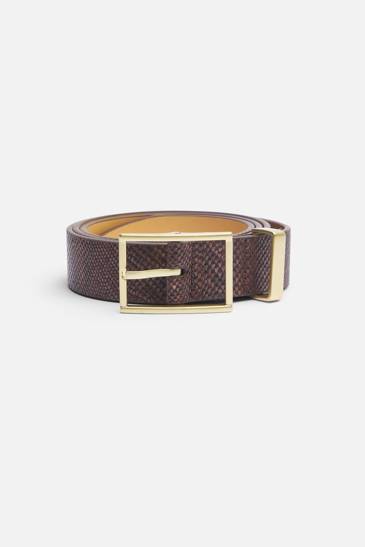 King Snake Brown Belt